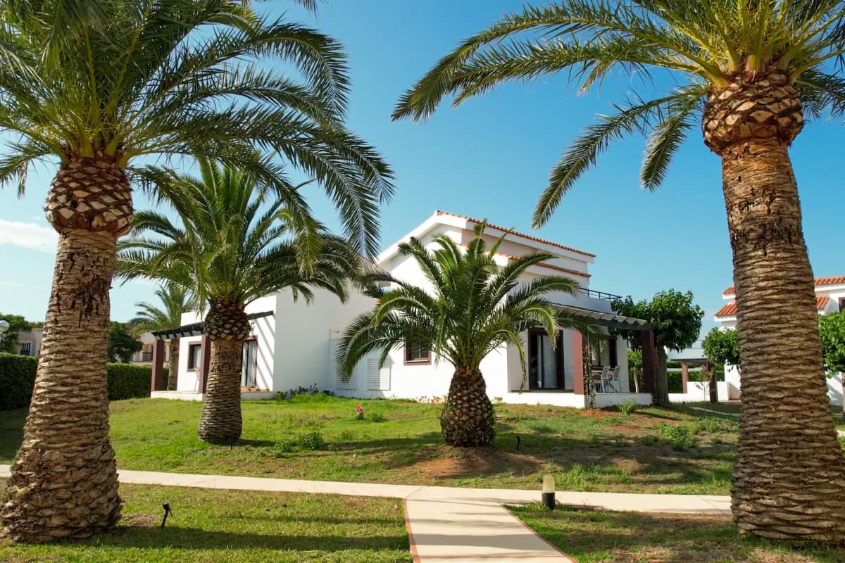 Apartamentos rodeados de palmeras