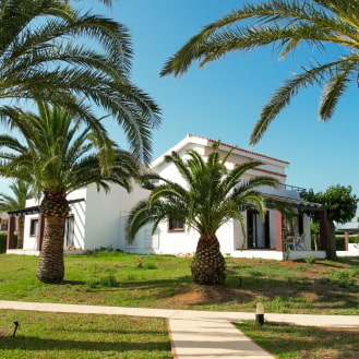 Apartamentos rodeados de palmeras