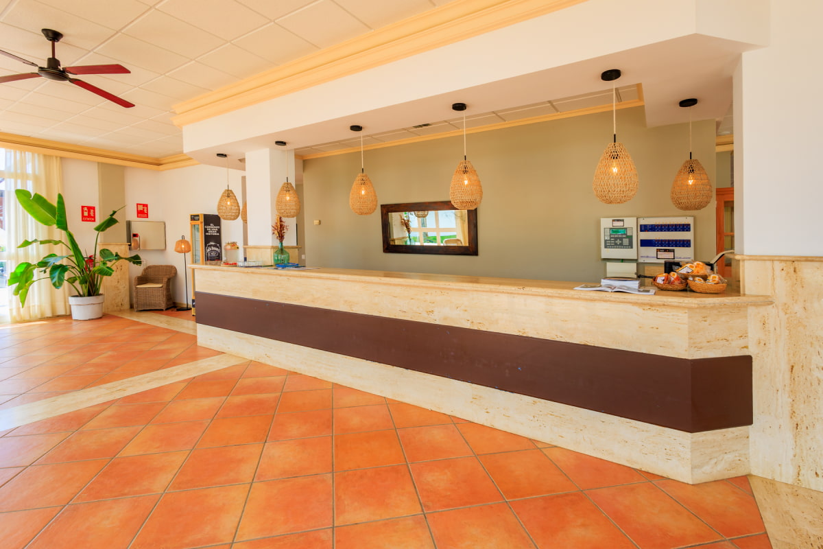 Recepción interior con mostrador y decoración cálida